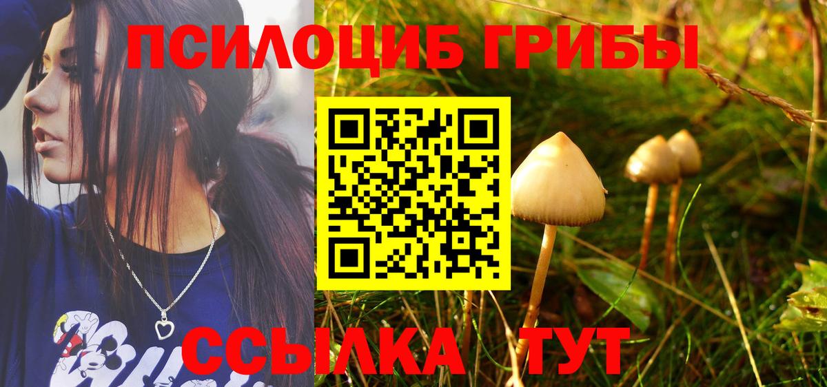 Верхний Уфалей  Галлюциногенные грибы Cubensis  Вход с VPN 